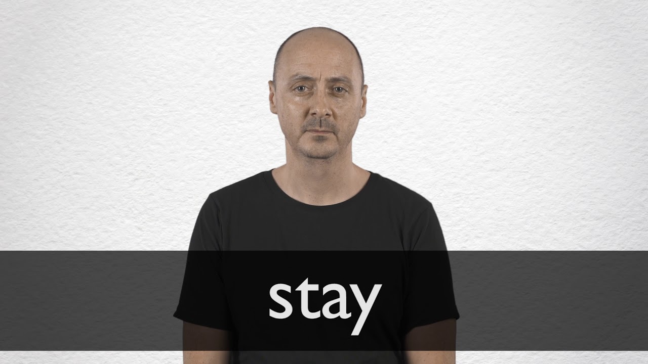 Stay